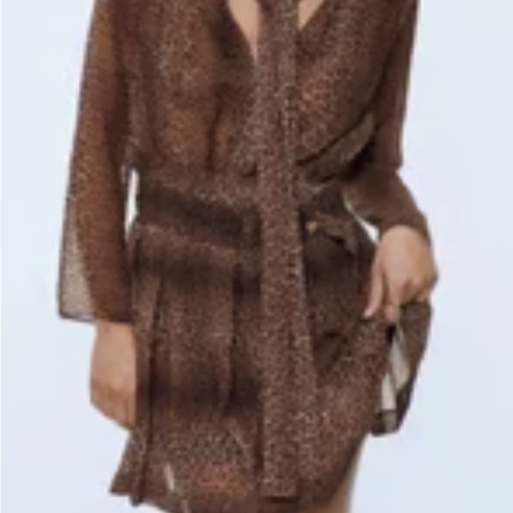 Zara leopard print, sheer blouse dress - Picture 3 of 8